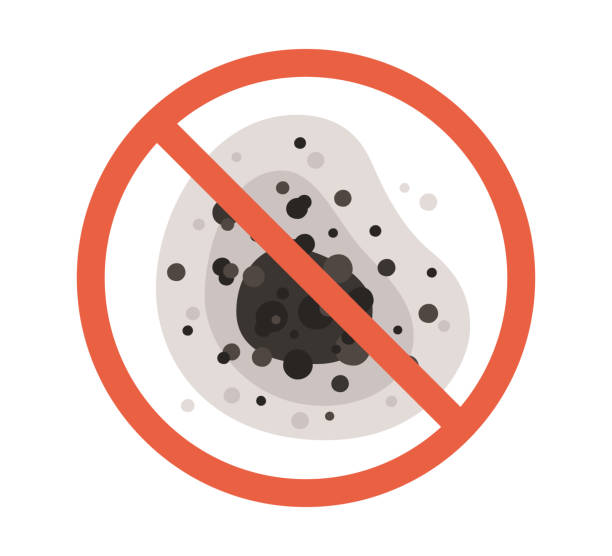 Best Black Mold Removal  in Groveville, NJ