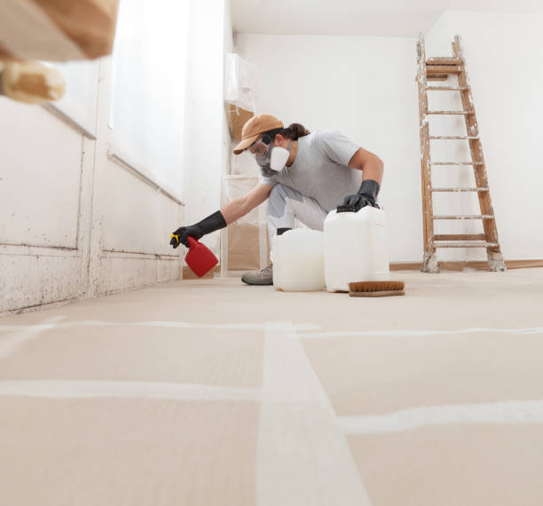 Best Mold Odor Removal Services  in Groveville, NJ